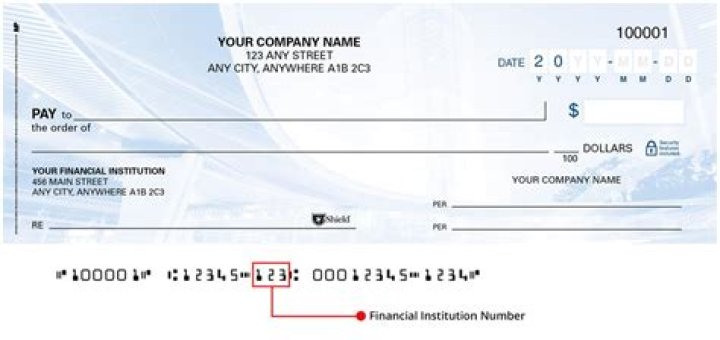 What is a financial institution cheque?