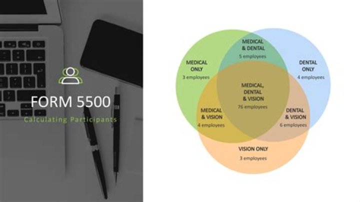 What is a Form 5500 filing?