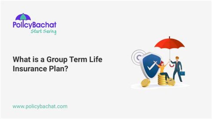 What is a group term life insurance?