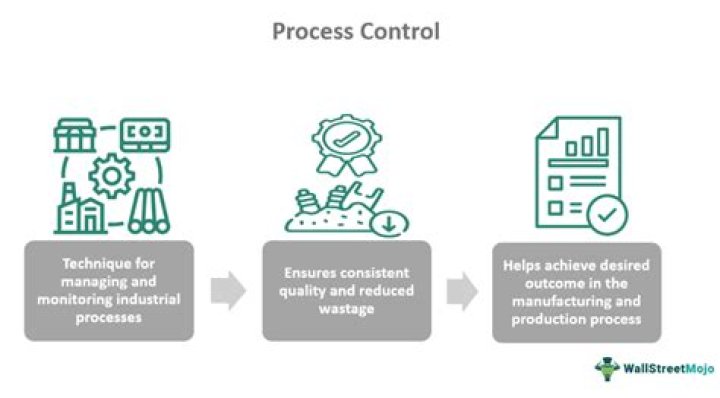 What is a management control process?