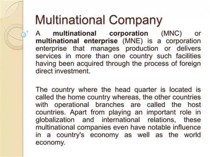 What is a multinational corporation example?