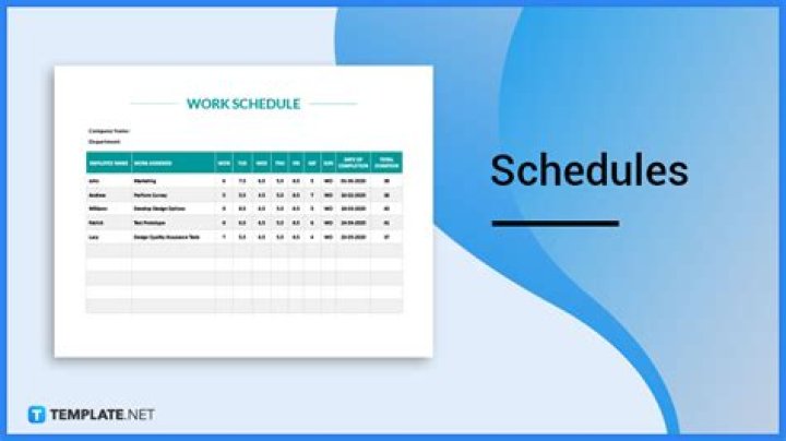 What is a Schedule 1041?