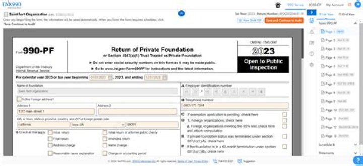 What is a substantial contributor for 990-PF?