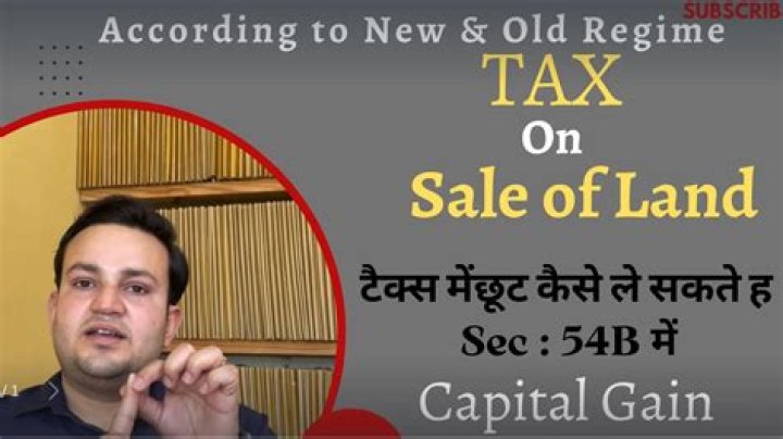 What is a tax land sale?