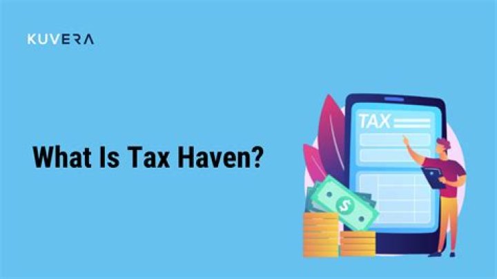 What is a tax service provider?