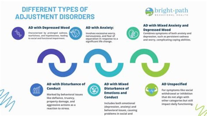 What is adjustment options?