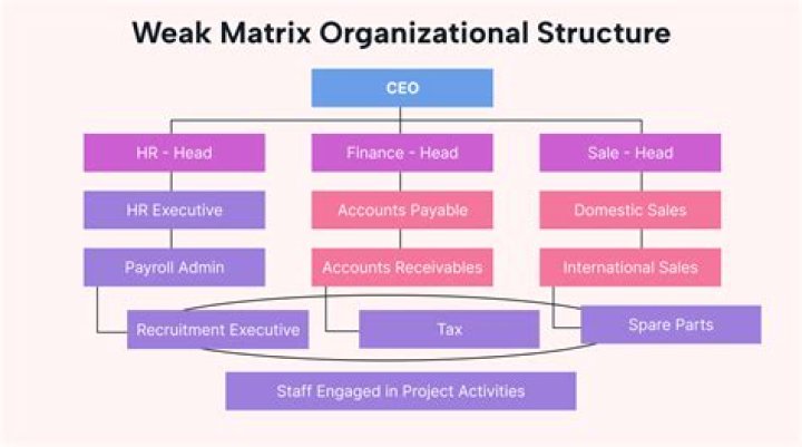 What is an aligned organization?