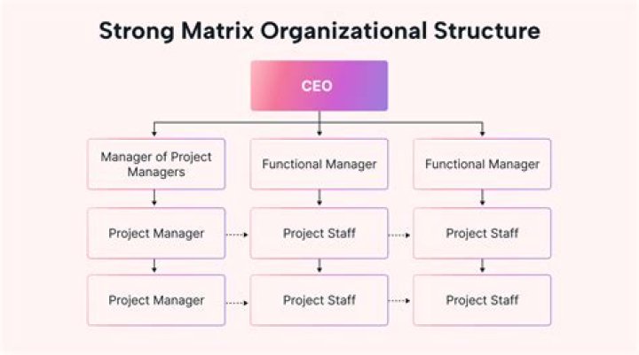 What is an example of a line organization?