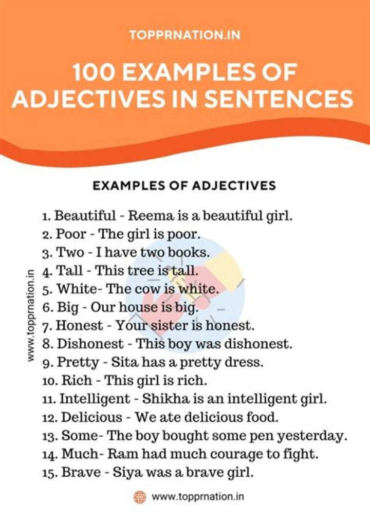 What is an example of a sample sentence?