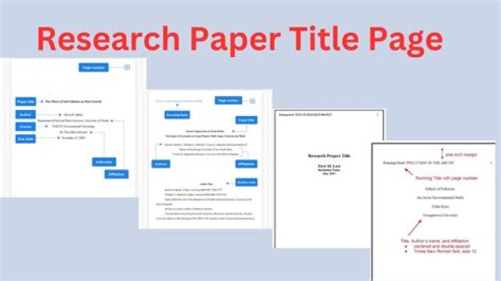 What is an overview in a research paper?
