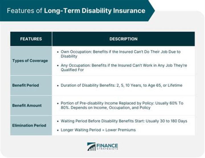 What is company long term disability?