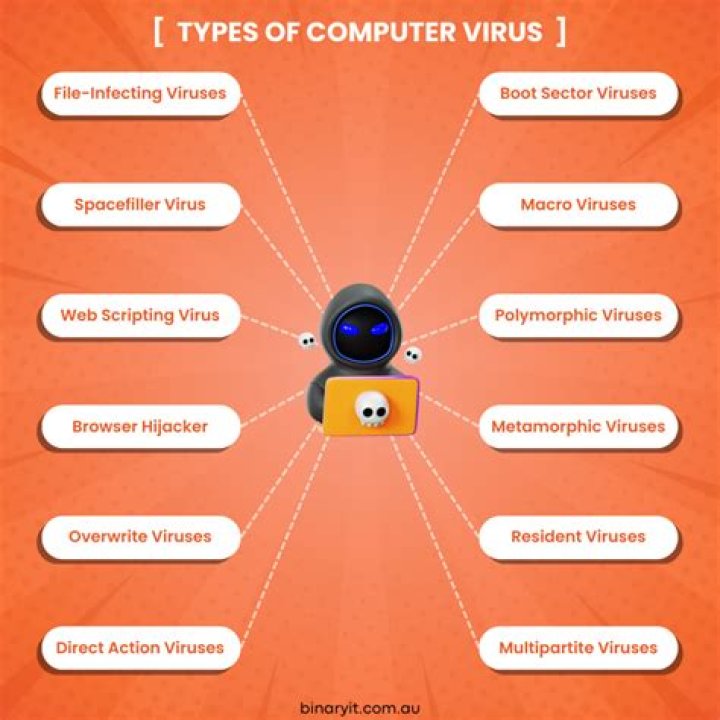 What is computer risk and its types?