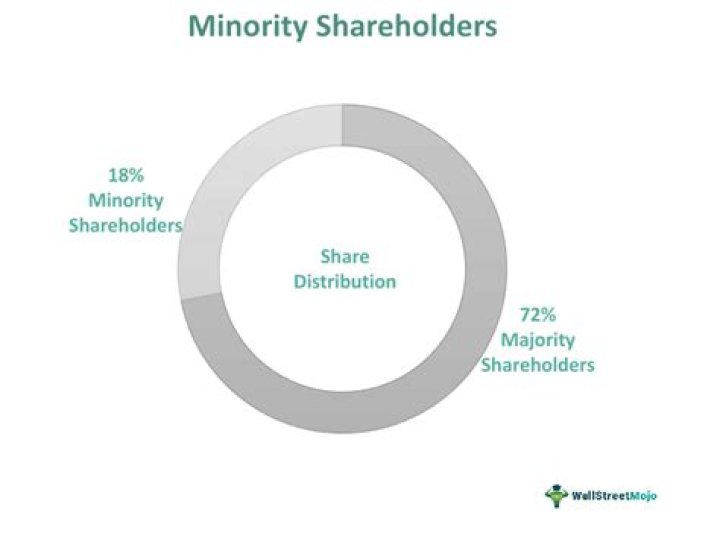 What is considered a minority shareholder?