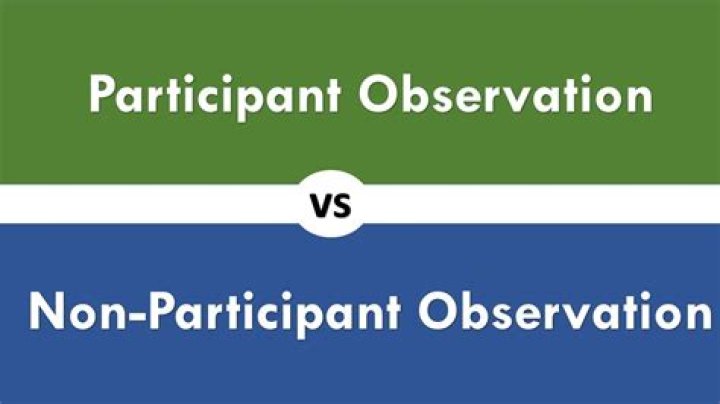 What is difference between participating and nonparticipating?