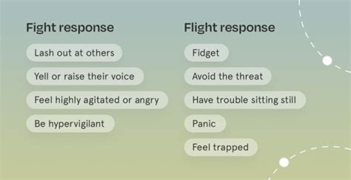 What is difference between response and request?
