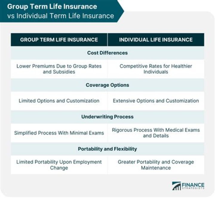 What is employer paid group term life insurance?