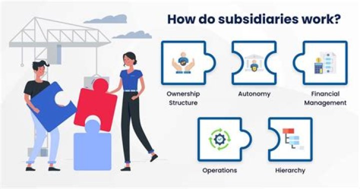 What is establishing new foreign subsidiaries?