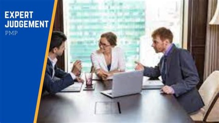 What is expert Judgement in project management?