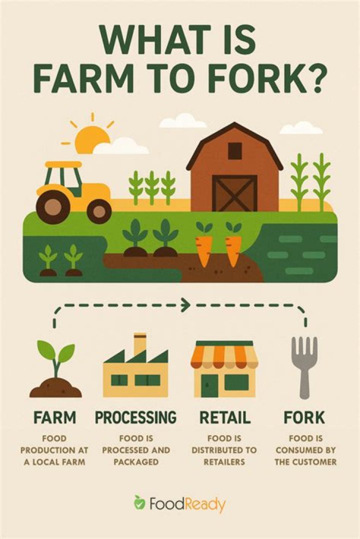 What is farm organization?