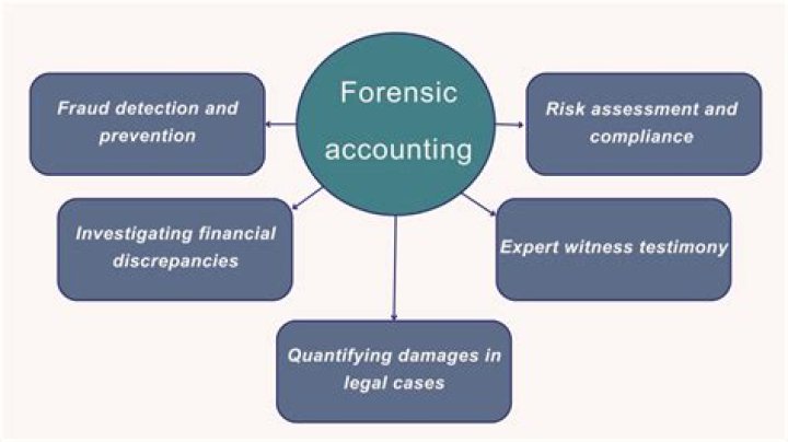 What is forensic accounting explain the main features of forensic accounting?