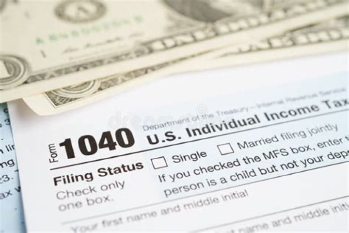 What is individual income tax payment?