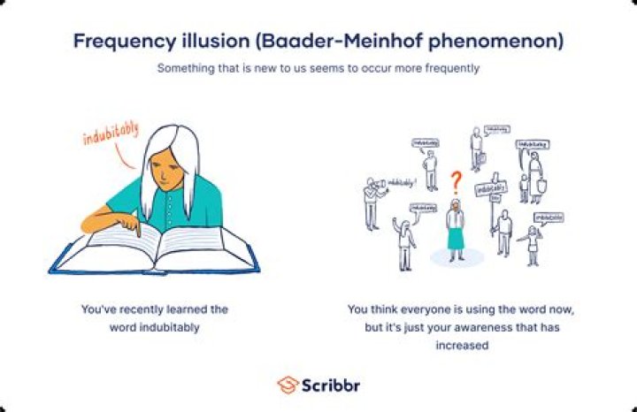 What is it called when more than one person owns a business?