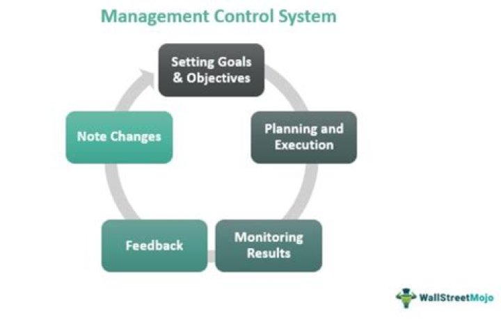 What is management control in business?