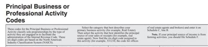 What is my principal business activity code?