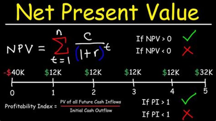 What is net present value and profitability index?