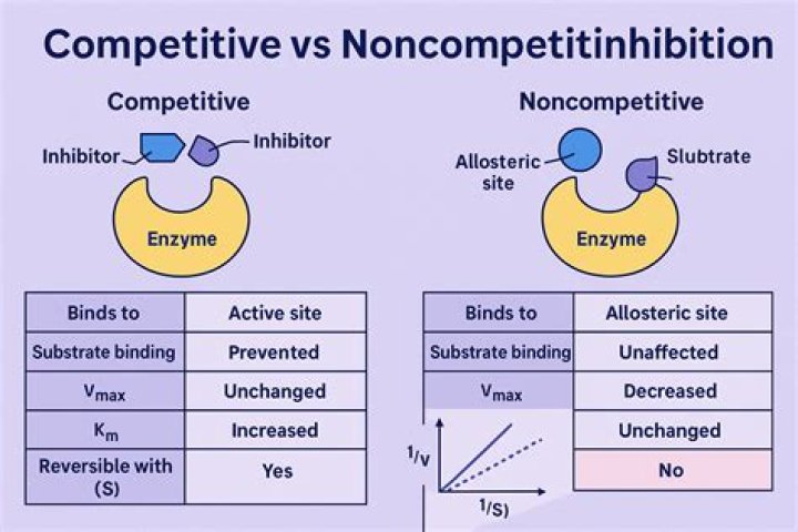What is noncompetitive bidding?