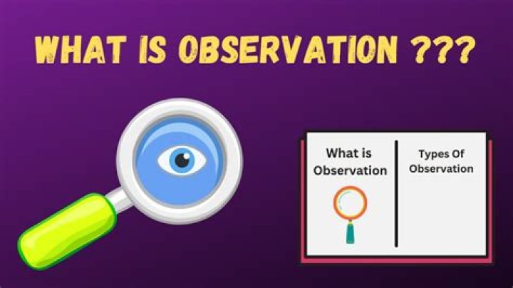 What is observation in your own words?