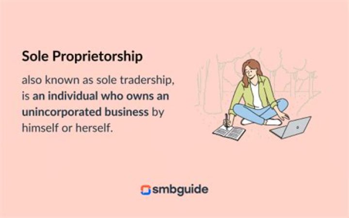 What is one sole proprietorship business?