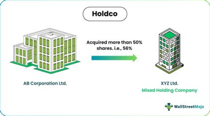 What is OpCo and HoldCo?