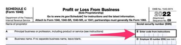 What is principal business code 999999?