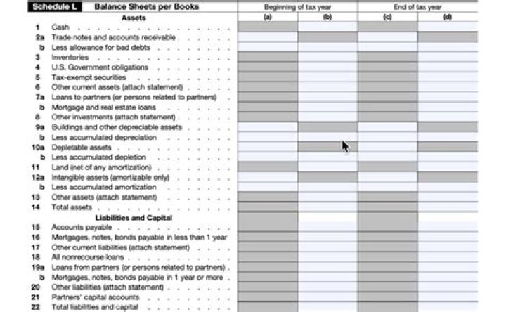 What is Schedule L on a 1065?