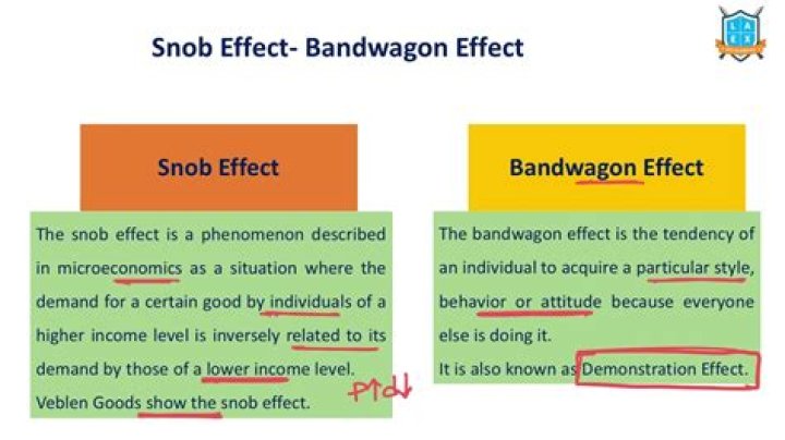 What is snob effect in economics?