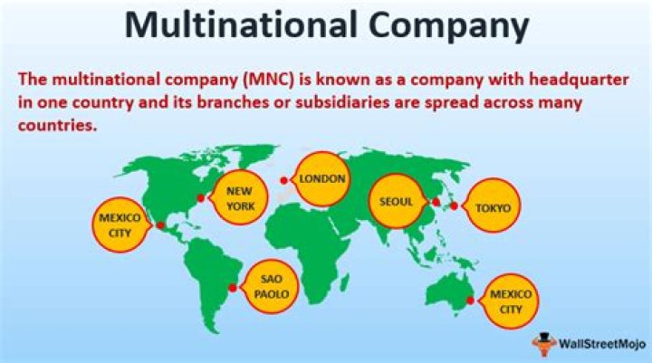 What is the advantage of multinational corporation?