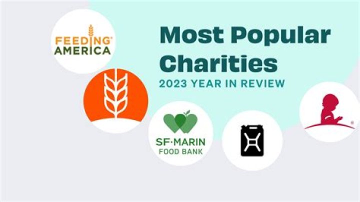 What is the best charity for bees?