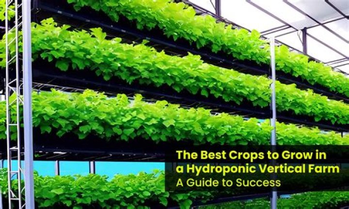 What is the best crop to grow on a small farm?