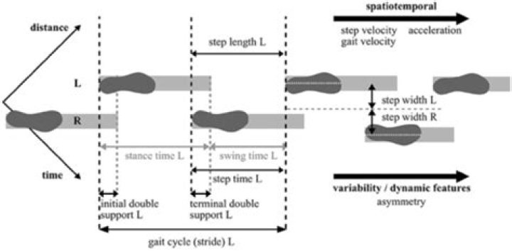 What is the correct function of the right foot in driving?