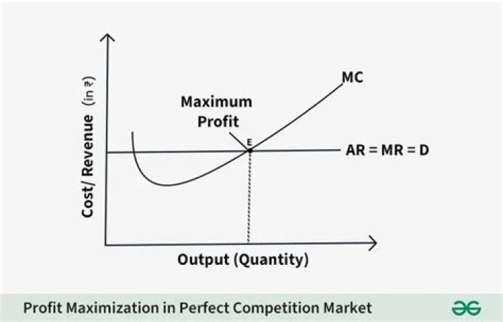 What is the economic condition for maximizing profit?