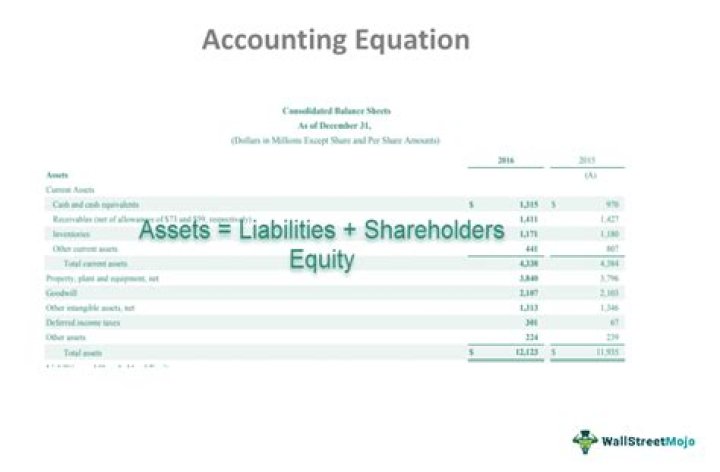 What is the equation for net loss?