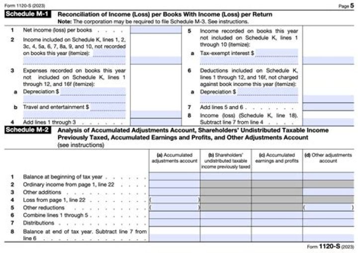 What is the filing deadline for Form 1120S?