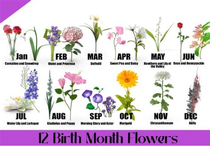 What is the following month of April?