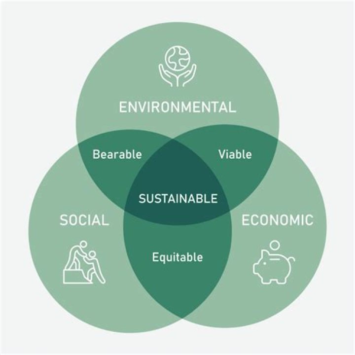 What is the mean of accumulated?