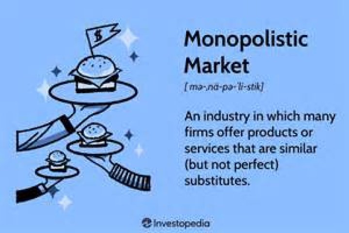 What is the meaning of monopolists?