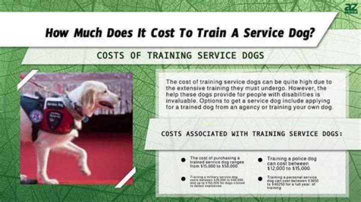 What is the oldest you can train a service dog?