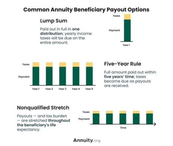 What is the payout period of an annuity?