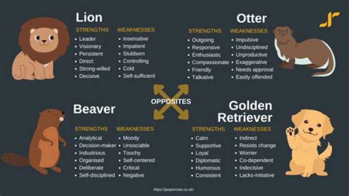What is the personality of a lion?