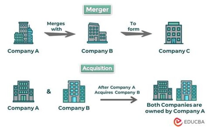What is the problem with very large companies merging?